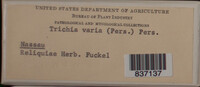Image Associated With the Occurence
